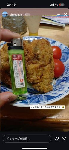 SampleImage01