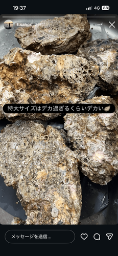 SampleImage01