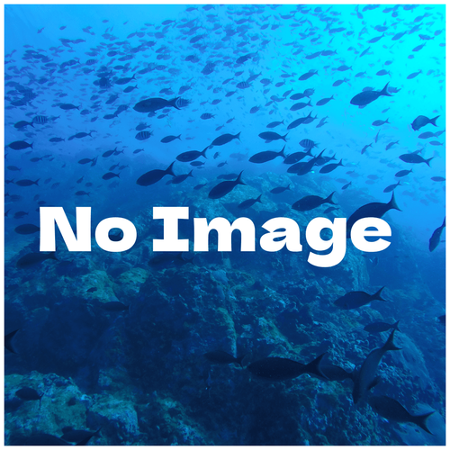 SampleImage01
